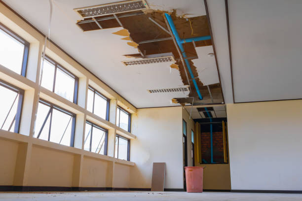 Best Fire Damage Restoration  in Pearisburg, VA