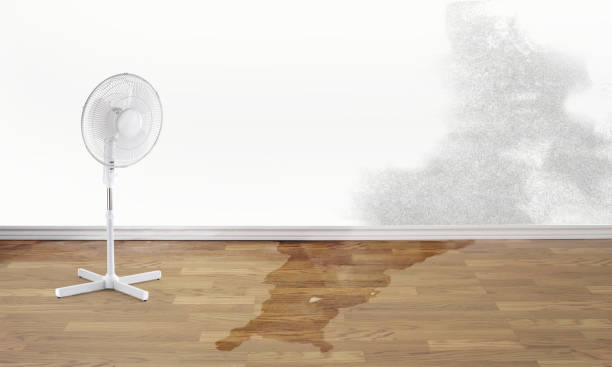 Best Water damage contractors near me  in Pearisburg, VA