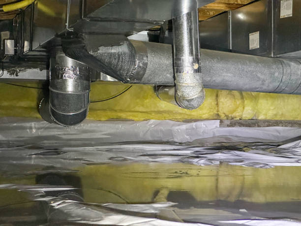 Best Flooded house restoration  in Pearisburg, VA